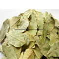 Dry Bay Leaf, Myrcia,