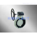 PPH Butterfly Valve Gear Type