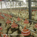Equipo automático de aves de corral para la administración parental de pollos de engorde