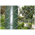 Chain Link Fence with Galvanized or PVC Coated