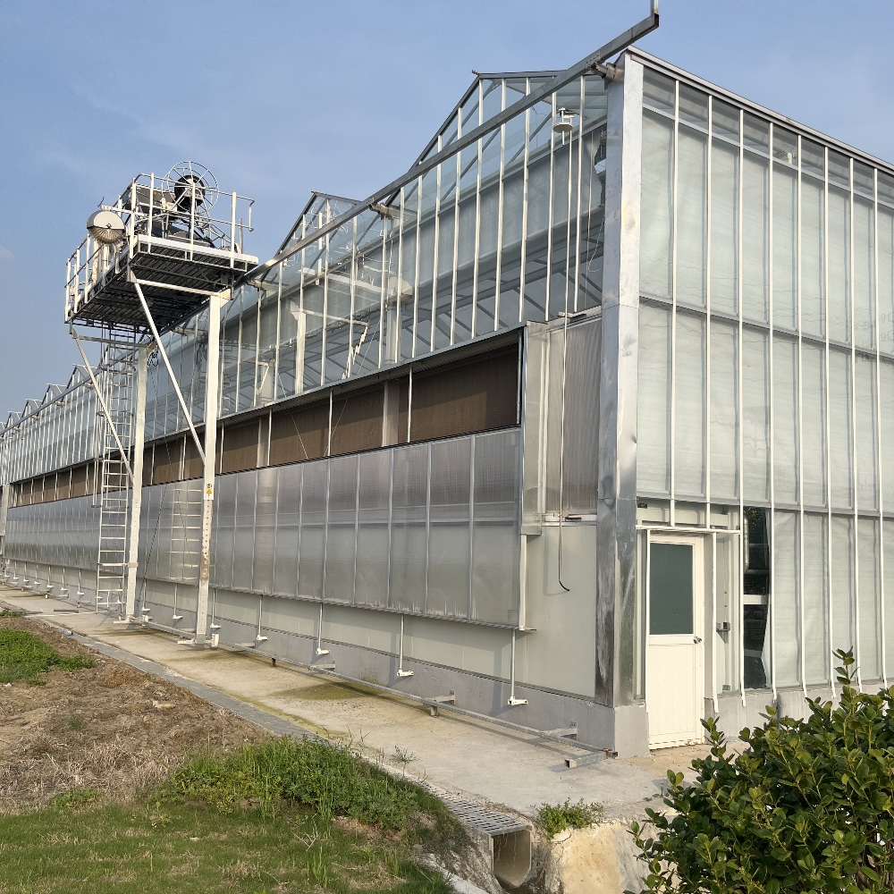 Venlo Glass Greenhouse Venlo Glass Greenhouse