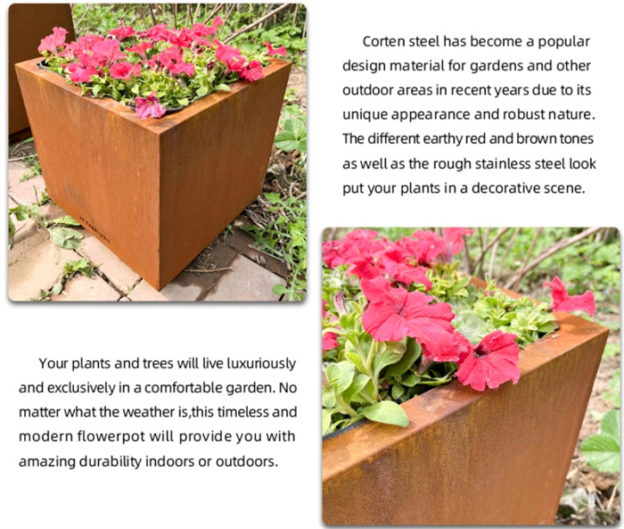 large indoor plant pots large indoor plant pots