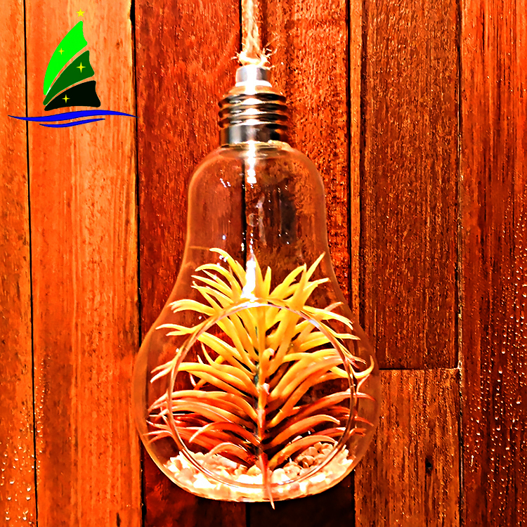 Bulb Shape Air Plant Glass Terrarium