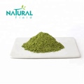 Pó Matcha orgânico de grau 3A 4A 5A 7A