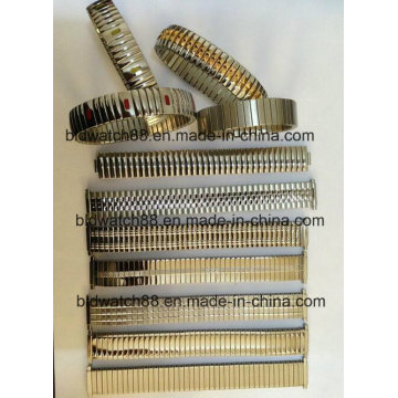 High Quality Stainless Steel Spring Watch Band Supplier