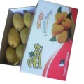 Corrugated Packaging Boxes for Mango