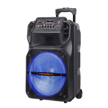 15''Portable Bluetooth Trolley Rechargeable Speaker With Mic