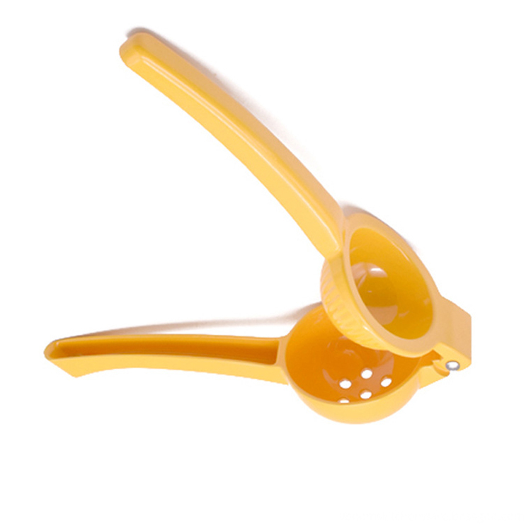 Colorful Painting Lemon Squeezer