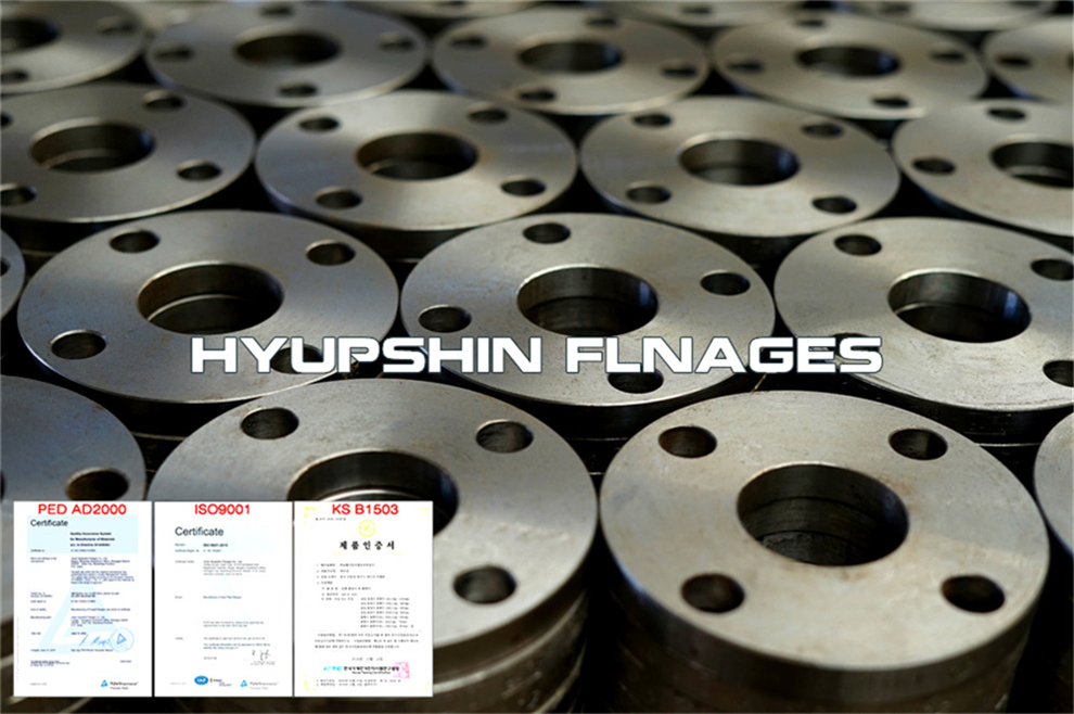 Hyupshin Flanges En1092 1 01a Flanges Plate