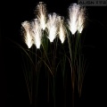 Außenlandschaft Reed Lichter