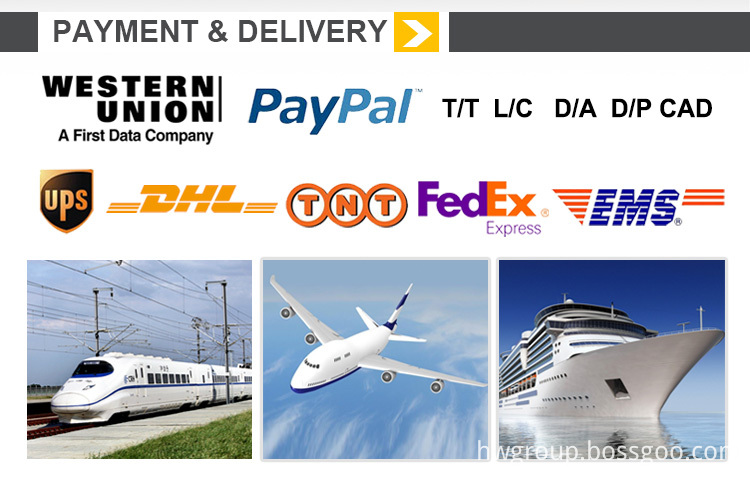 Payment & Delivery