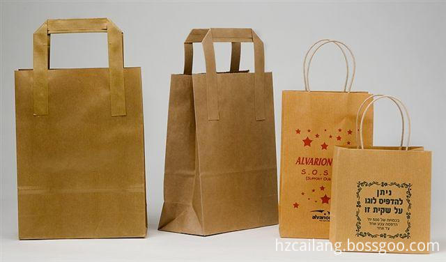 Shopping Paper Bag5