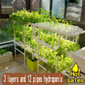 Greenhouse Garden Doppelseite Indoor Hydroponics Kit