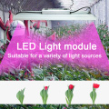 Квантовая плата Grow Light Samsung 561C High Ppfd