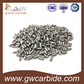 Tungsten Carbdie Pins e unhas