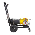 ED700 Diaphragm Airless Sprayer