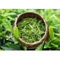 Green Tea Extract powder EGCG catechin epicatechin