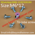 Taptite Screw Pan Torx Screw Pan Bolts