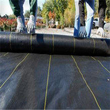 Hot Supply PP Woven Fabric as Weed Mat/Ground Cover/Silt Fence/Landscaping/Geotextiles