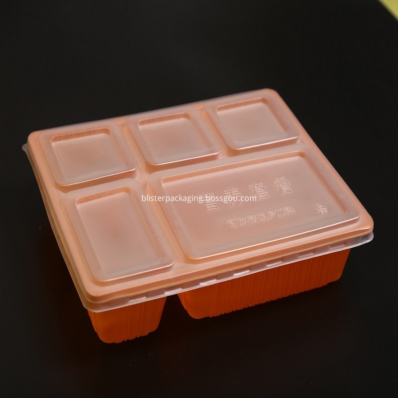 plastic partition food container