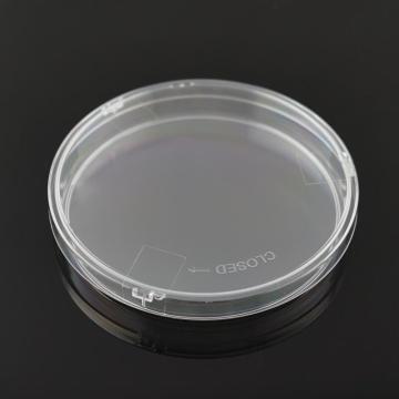 Placa de Petri con diseño Safelock