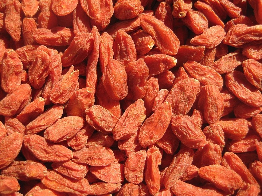 EU standard Goji berry