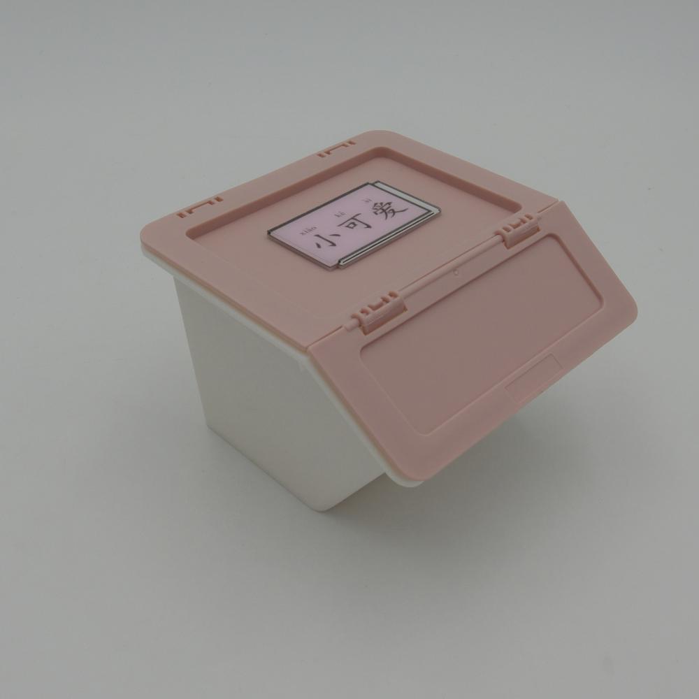 Foldable Plastic Box