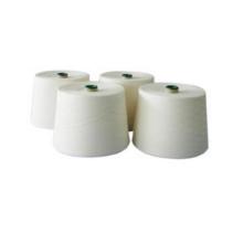 Ne 30s /1 Viscose Ring Spun Yarn