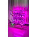 Indoor Hydroponic Vertical System With Led Growing Lights