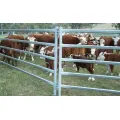 Australia Cattle Farm Equipment Rails Fence Livestock Panels