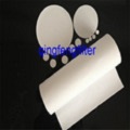 Oleophilic PTFE Filter Membrane for Organic Gases Filtration