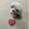 Boîte de battement de coeur pour poupée Reborn jouet pour animaux de compagnie jouet en peluche Amazon populaire boîte de battement de coeur jouet pour animaux de compagnie boîte de battement de coeur simulé