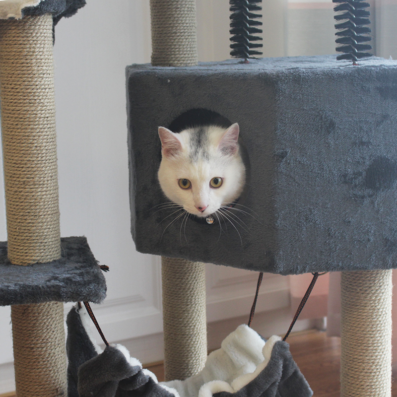 Cat Tree