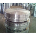 Sans1123 4000/8 Blind Flange