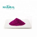 100% Organic Freezed-dried Pitaya Dragon Fruit Powder