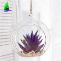 glass terrarium plants with hole Hanging Vase