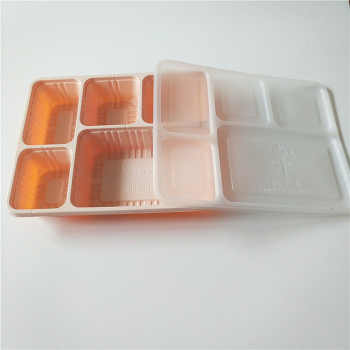 Five Compartments Plastic Takeaway Tray