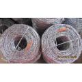 Galvanized Normal Twisted Barbed Wire