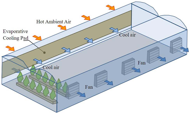 Cooling System