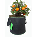 Skyplant Nonwoven Fabric  Grow Bag For Plants