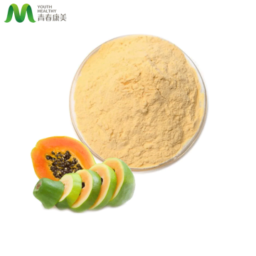 Papaya Fruit Juice Powder 100% Natural