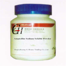 Poudre soluble en sodium et ampicilline