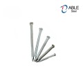 Galvanized Steel Concrete Nails Steel Nails Masonry Nails