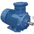 Variable Frequency Adjustable Speed Three-phase AC Motor