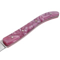 Cuchillo de acero inoxidable para carne Garwin con mango de resina