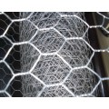 Hot Dipped Galvanisiertes Hexagonal Wire Mesh Chicken Net