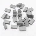 15x10x5 SS10 Tips of Tungsten Carbide for Stone