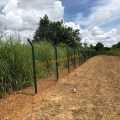 Welded double wire mesh fence with barbed wire