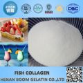 Fish collagen protein