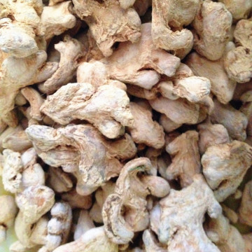 Top Quality Dry Ginger Supplier